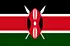 TGM Christmas Market research Survey 2022 | Data in Kenya