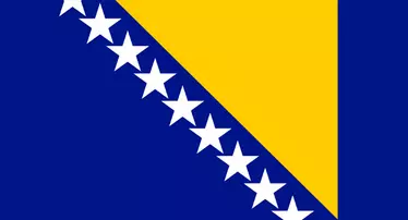 TGM Rapid Online Panel in Bosnia And Herzegovina