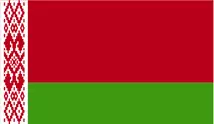TGM Omnibus Research Solutions in Belarus