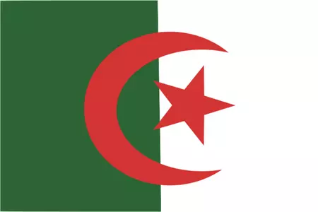 TGM Rapid Survey mini Online Panel in Algeria