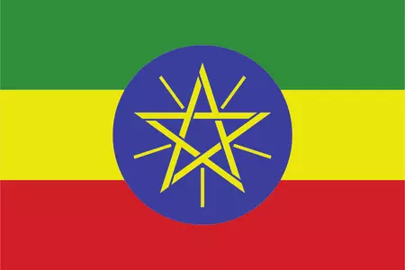 TGM Fast National Omnibus Services in Ethiopia