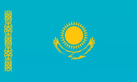 TGM Online Panel market research surveys in Kazakhstan