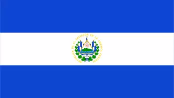 TGM Omnibus market research surveys in El Salvador