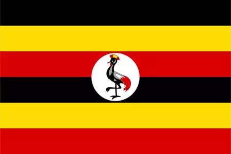 TGM Rapid Omnibus in Uganda