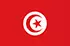 TGM National Omnibus Surveys in Tunisia
