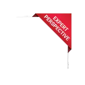 Reporting & Insight Delivery asset