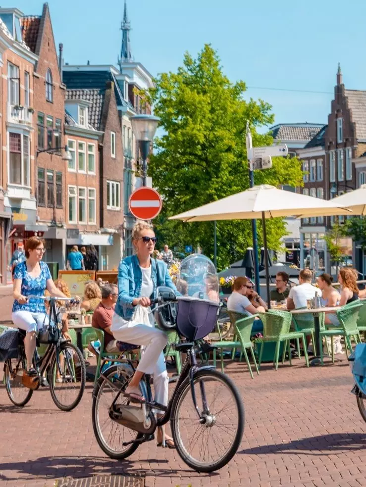 Market research in Netherlands