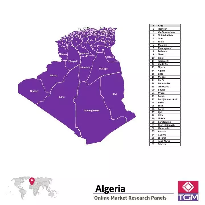 Online panel in Algeria 
