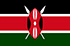Panel badania rynku online w Kenii