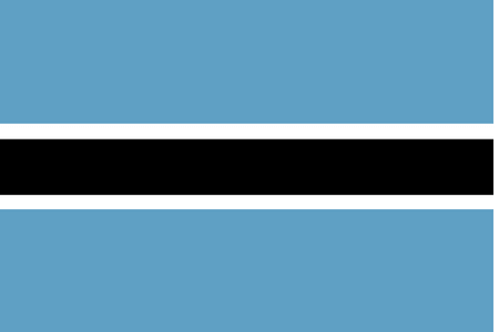 Panel online serta menggunakan seluler di Botswana