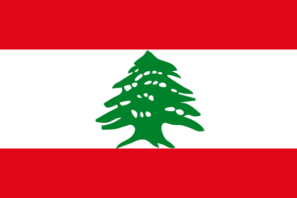 TGM Omnibus market research surveys in Lebanon