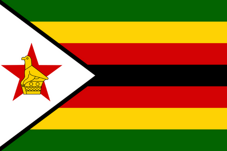 Panel badania rynku online w Zimbabwe