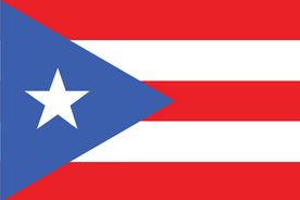 TGM Fast Omnibus Research in Puerto Rico