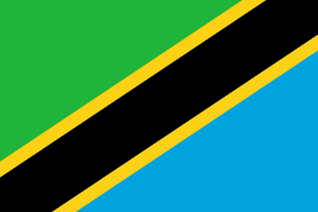 Panel badania rynku w Tanzanii