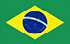 TGM Euro Survey 2024 in Brazil