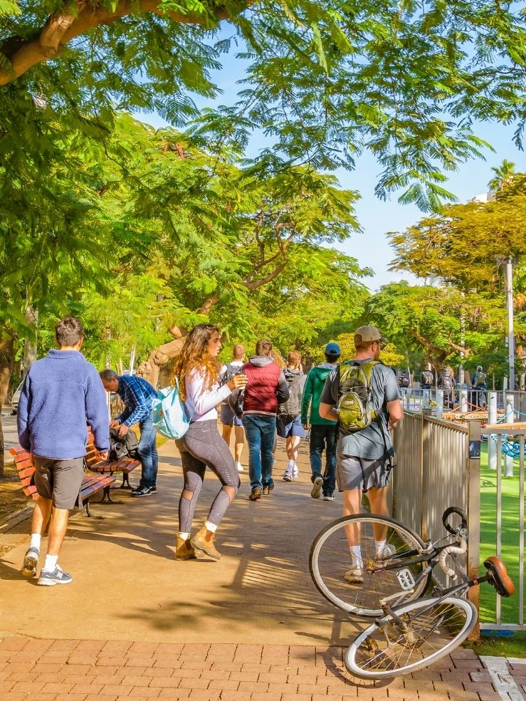 Market research in Israel