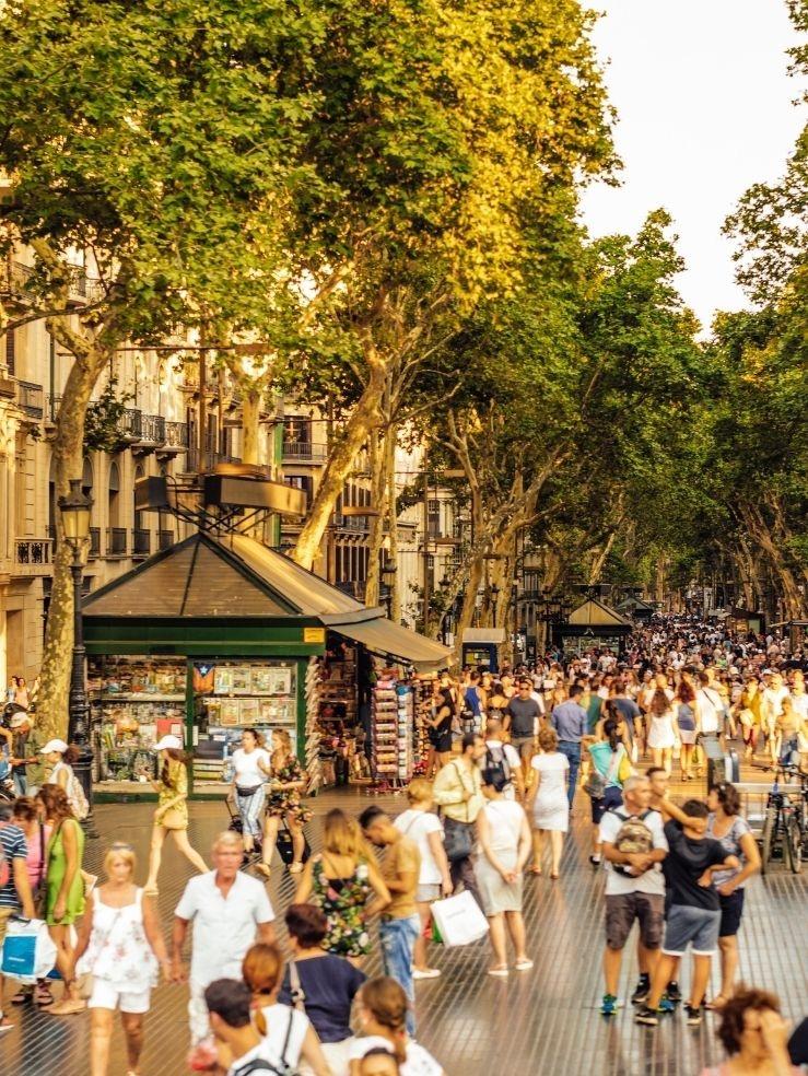 Market research in Spain