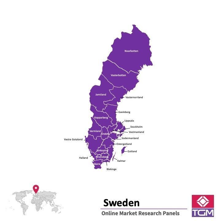 Online panel in Sweden 