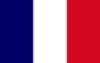 CHRISTMAS INSIGHTS 2024 Flag