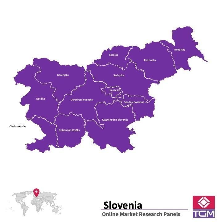 Online panel in Slovenia 