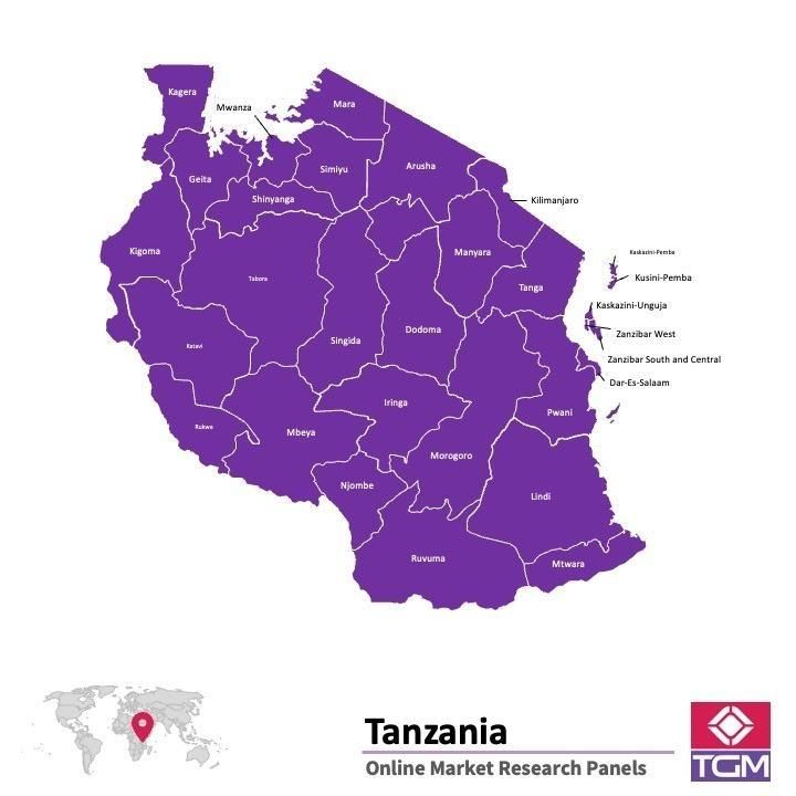Online panel in Tanzania 