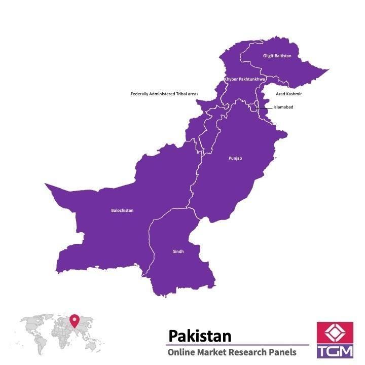 Online panel in Pakistan 