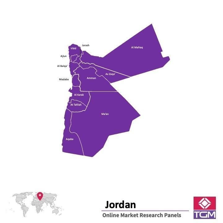 Online panel in Jordan 