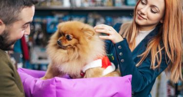 Veterinary &amp; service experience evaluation asset