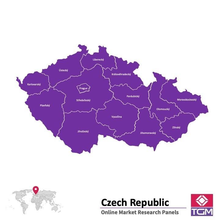 Online panel in Czech Republic 