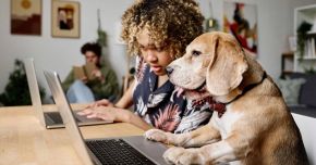 Pet Care E-commerce 2026: How Pet Humanization Is Driving Online Demand in Europe