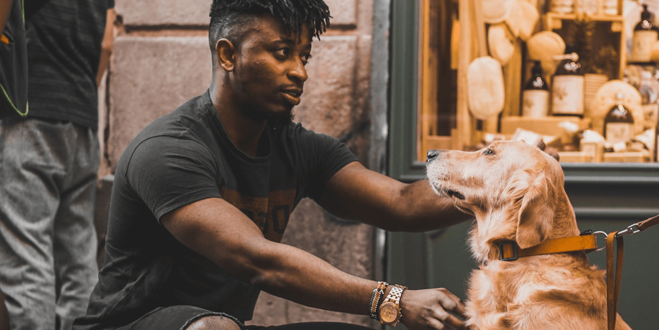 Download TGM Pet Care Report 2023| Insights on Pet Owners in Kenya