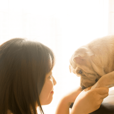 TGM India Pet Care Survey 2023 | Unleashing Insights on Pet Owners