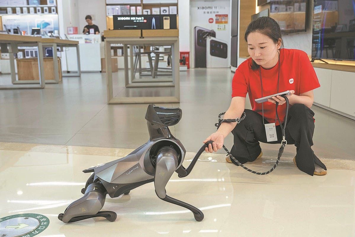 The CyberDog 2, a quadrupedal robot, is seen at a Xiaomi store in Xiangyang, Hubei province.
