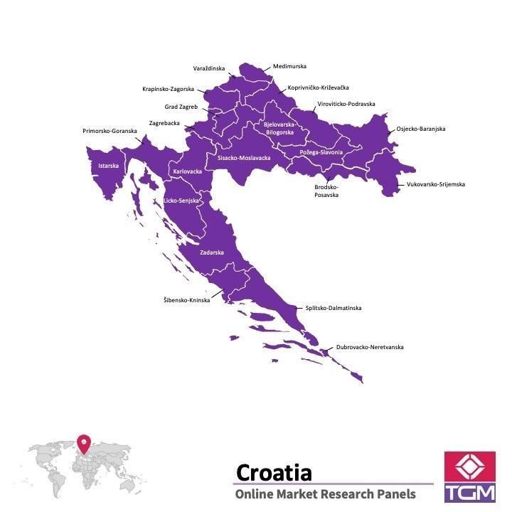 Online panel in Croatia 