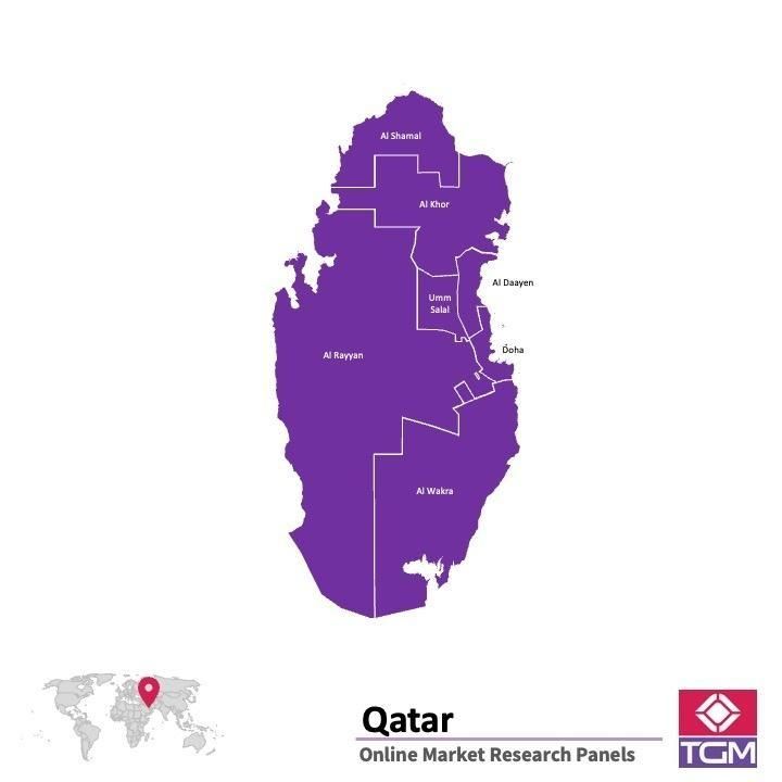 Online panel in Qatar 
