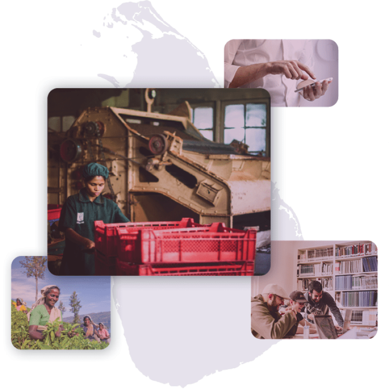 Sri Lanka Rapid Survey mini Omnibus Banner Hero