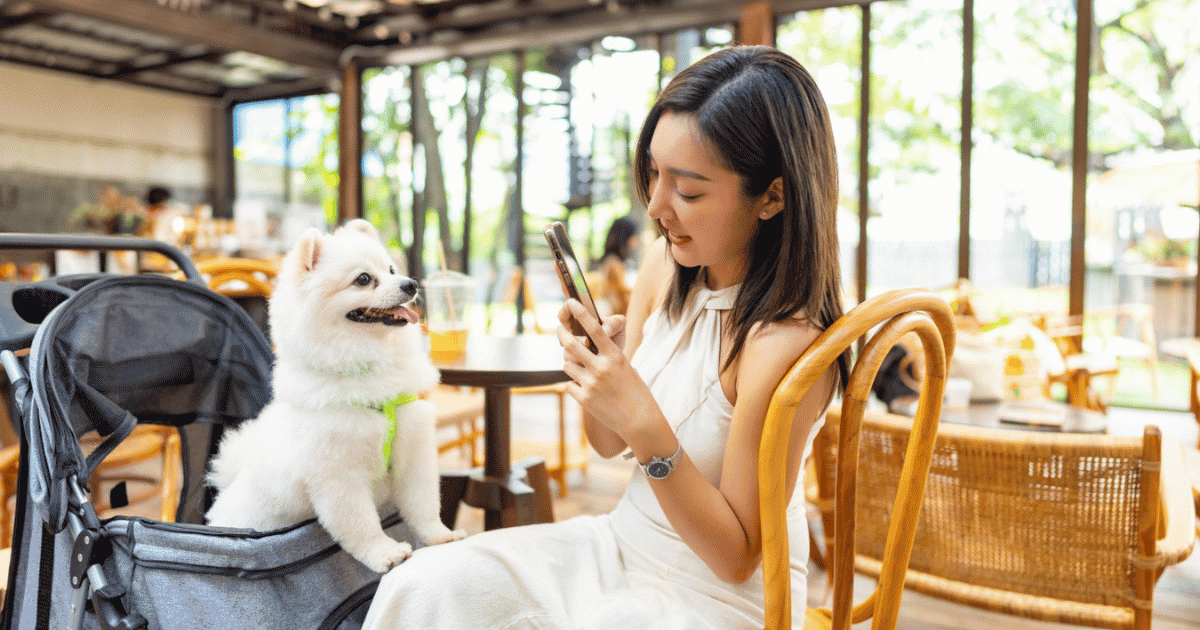 China&rsquo;s Growing Pet Spend: What Owners Are Paying For 