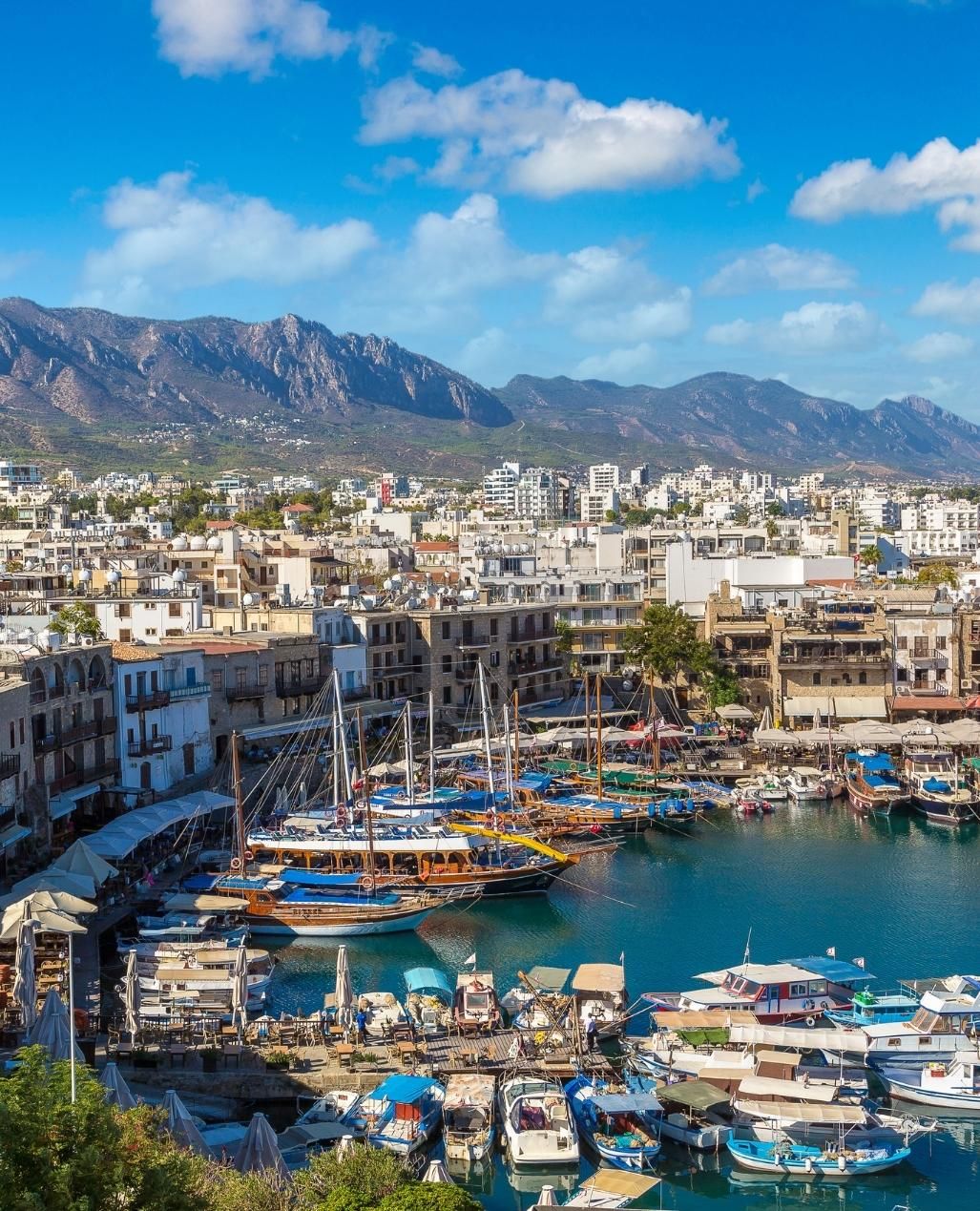 Online and mobile panel in Cyprus 