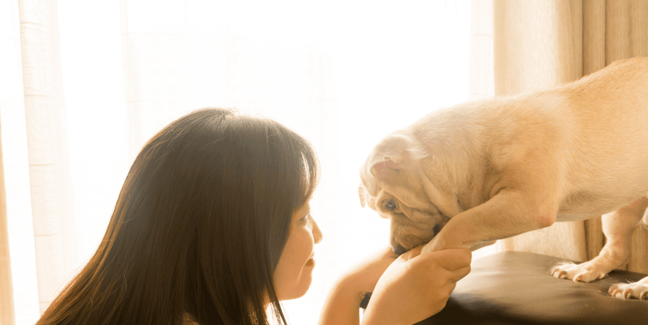 TGM India Pet Care Survey 2023 