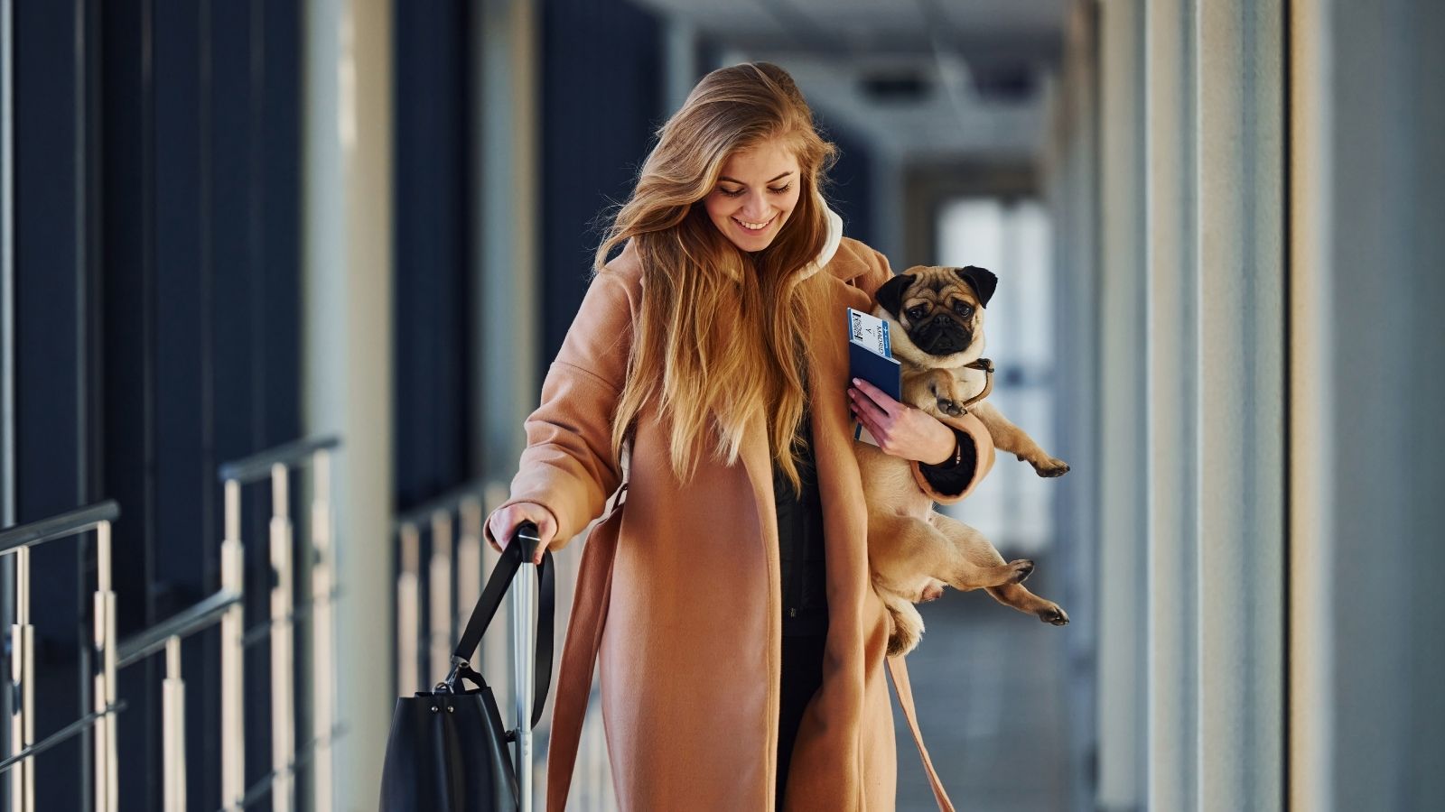 Pawprint economy trend in travel