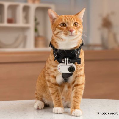 The Rise of Pet Technology: How Technology is Revolutionizing Pet Care