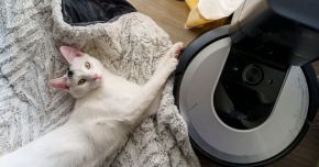 China Pet Care Tech 2026: What Owners Buy vs. What They Hesitate On 
