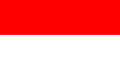 TGM Travel Insights in Indonesia 2025 