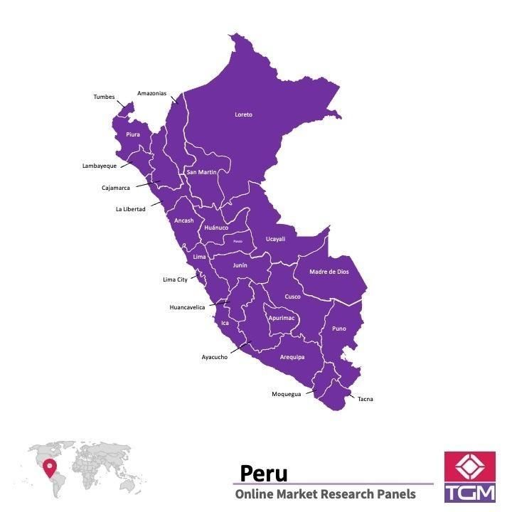 Online panel in Peru 