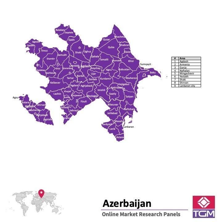 Online panel in Azerbaijan 
