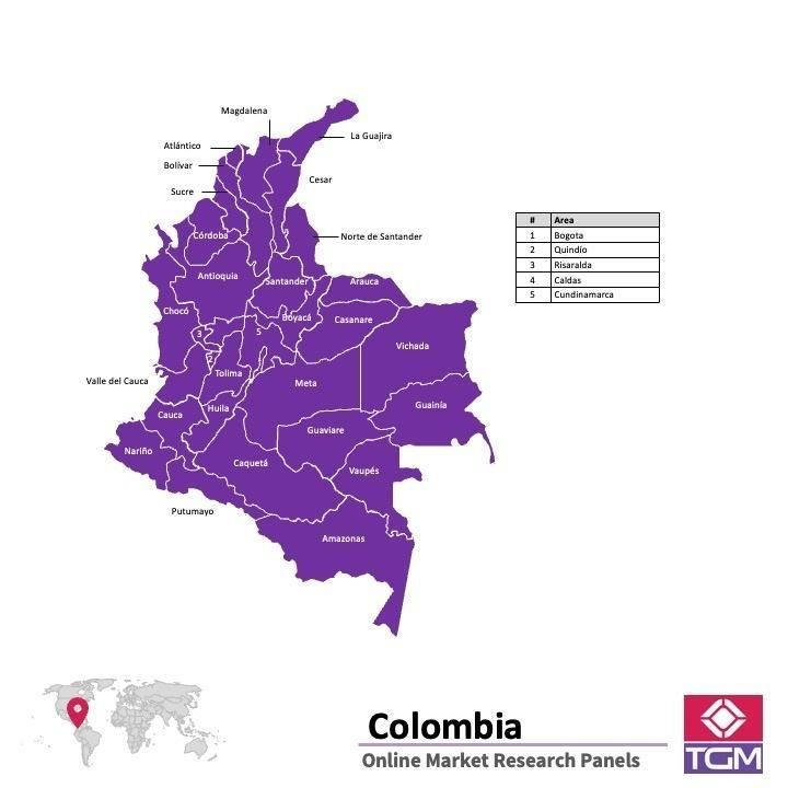 Online panel in Colombia 