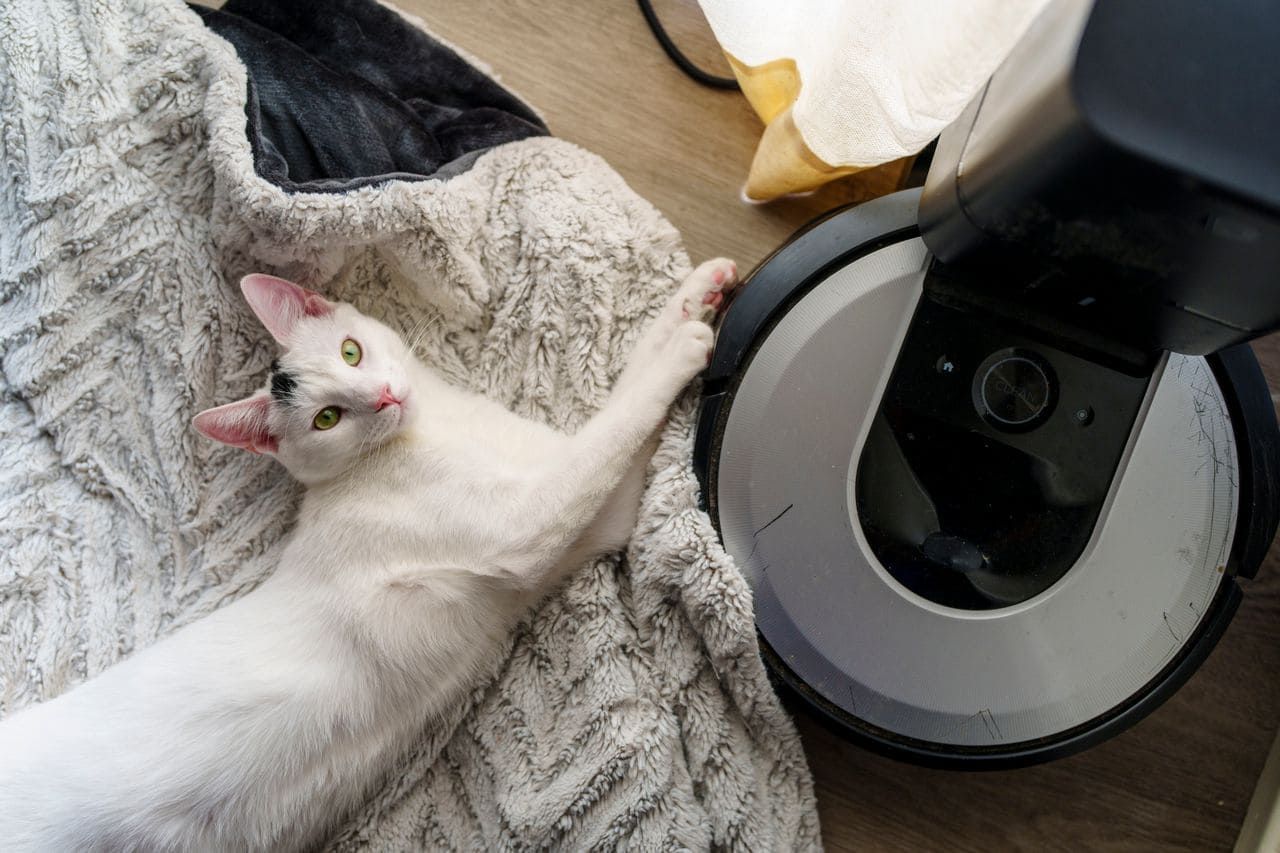 China Pet Care Tech 2026: What Owners Buy vs. What They Hesitate On 