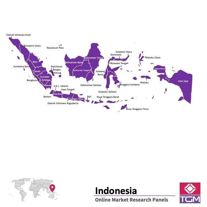 Online panel in Indonesia 