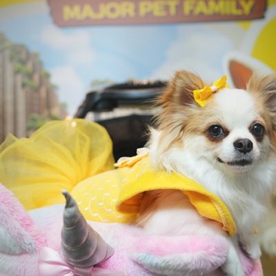 Insights that Empower Business Growth