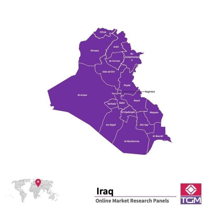 Online panel in Iraq 